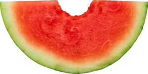 watermelon PNG image-2640